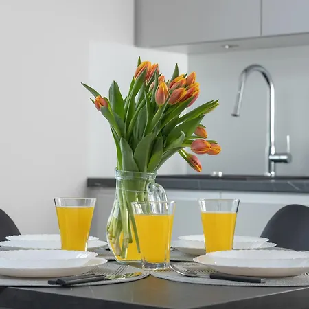 Apartment Comfortable In The Centre Of With Parking, & Gym By Renters Zakopane